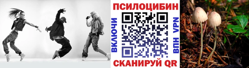 Купить где  Чегем  Галлюциногенные грибы Psilocybine cubensis 